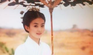 杨蓉演陆贞传奇几岁 陆贞传奇片尾曲心情